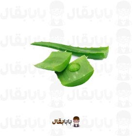 تصویر برگ آلوئه ورا 