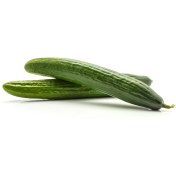 تصویر بذر خیار 20 عددی