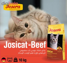 تصویر غذای خشک گربه جوسرا بیف - وزن 10 کیلوگرم Josera Beef Cat Food 10kg