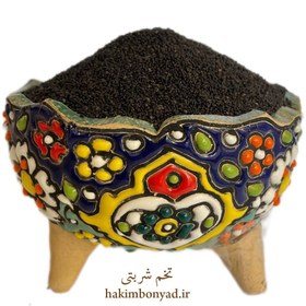 تصویر تخم شربتی 