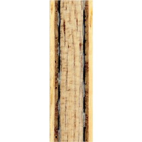 تصویر آلناد اینر 