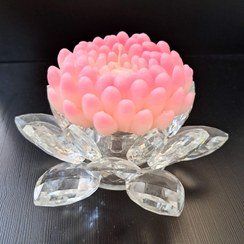 تصویر شمع داوودی بزرگ 