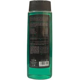 تصویر شامپو بدن مردانه مای مدل مجیشن میدفیلد دایموند حجم ۴۰۰ میلی‌لیتر 