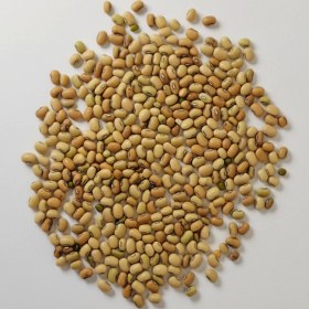 تصویر لوبيا جيرفتي 