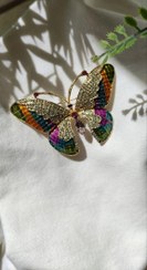 تصویر گل سینه پروانه نگینی خاص A special precious butterfly breast flower