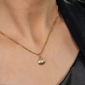 تصویر آویز صدف 