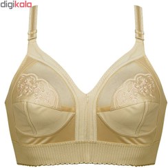 تصویر سوتین زنانه پانیذ کد 3166-32 