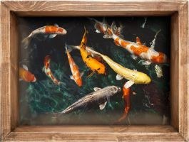 تصویر استیکر پادری سه بعدی صالسو مدل ماهی های رنگی 
