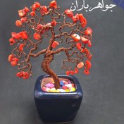 تصویر درختچه زندگی سنگ مرجان اصل TR3000 