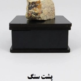 تصویر سنگ شجر فسیلی (دندریتی ) کد 2337 