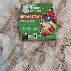 تصویر غلات صبحانه گربر Morning bowl