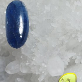 تصویر نگین کیانیت 