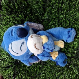 تصویر استیج اردک بغل 