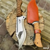 تصویر شکاری گرگ استاد صفری 