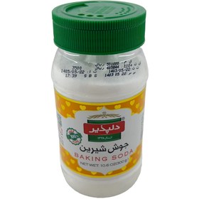 تصویر جوش شیرین نمک پاش دلپذیر 300 گرم 