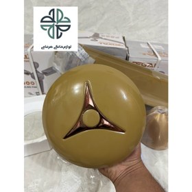 تصویر پنکه سقفی رگال 