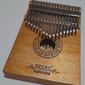 تصویر کالیمبا جکو Gecko gold همراه هارد کیس Kalimba Gecko gold