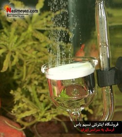 تصویر حلال co2 تایفان پیپی جی بی ال 