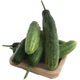 تصویر خیار محلی 