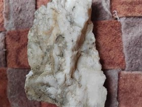 تصویر اپال شیری صدفی 