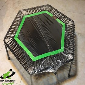 تصویر Hexagonal trampoline 125 cm 