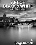 تصویر کتاب هنر سیاه و سفید با فتوشاپ؛ یک دوره جامع عکاسی حرفه‌ای سیاه و سفید 
