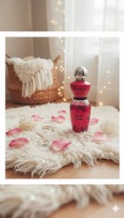 تصویر اسپری عطر زنانه SEAGULL با رایحه ماندگار - قرمز 