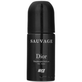 تصویر دئودورانت رولی مردانه Dior حجم 60میل نایس پاپت Nice Puppet Dior Deodorant Roll On For Men 60ml