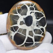 تصویر نگین کلکسیونی سنگ طبیعی سپتارین معدنی مراکش 34526 