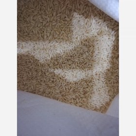 تصویر برنج هندی ارگانیک 