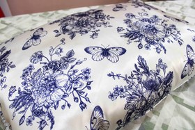 تصویر روبالشی قلم آبی 