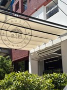 تصویر سایبان پانوراما ریلی PM 