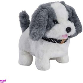 تصویر سگ قلاده‌دار موزیکال 