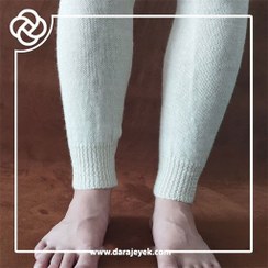 تصویر ساق بندپشمی پا جفتی 