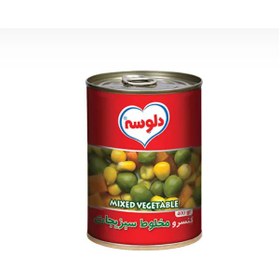 تصویر کنسرو مخلوط سبزیجات دلوسه 380 گرم 