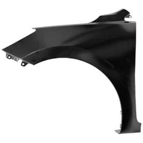 تصویر گلگیر جلو ریو 