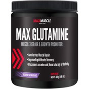 تصویر پودر گلوتامین مکس ماسل 400 گرم MaxMuscle Glutamin Powder 400Gr