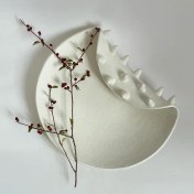 تصویر دیس کرنوتا 