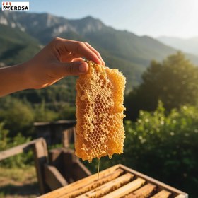 تصویر بره موم 500 گرمی 