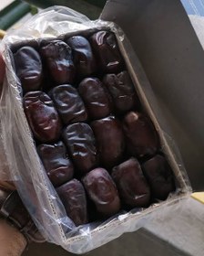 تصویر خرما مضافتی Mazafati Date