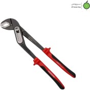 تصویر انبر کلاغی لایت ژاپن ۱۰ اینچ مدل WP-250 