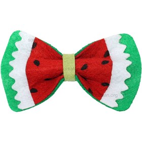 تصویر پاپیون نمدی یلدا 