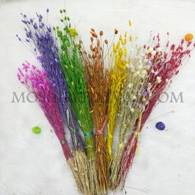 تصویر گل خشک مدل عطری 