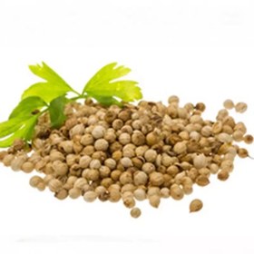 تصویر تخم گشنیز 100 گرمی 