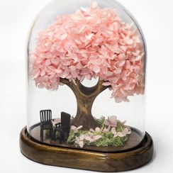 تصویر درختچه هورتانسیا جاودان صورتی 