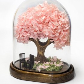 تصویر درختچه هورتانسیا جاودان صورتی 