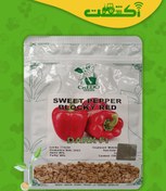 تصویر بذر فلفل دلمه گلخانه ای قرمز دارک Fl 