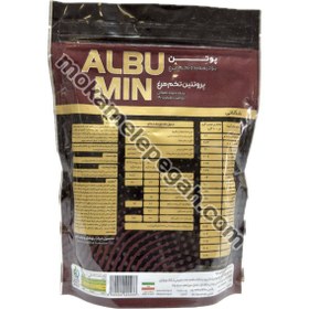 تصویر پودر پروتئین سفیده تخم مرغ (آلبومین) وزن 500 گرم ، طعم دار، خلوص 75% ، بدون لاکتوز 
