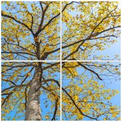 تصویر تایل سقفی آسمان مجازی پانوتایل مدل SK-455-2x2 سایز 60x60 سانتیمتر مجموعه 4 عددی artificial sky PanoTile code SK-455-2x2 size 60x60 cm (4 Pcs)