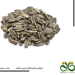 تصویر تخمه آفتابگردان نمکی بسته بندی 1 کیلوگرمی شالیزارصادق 